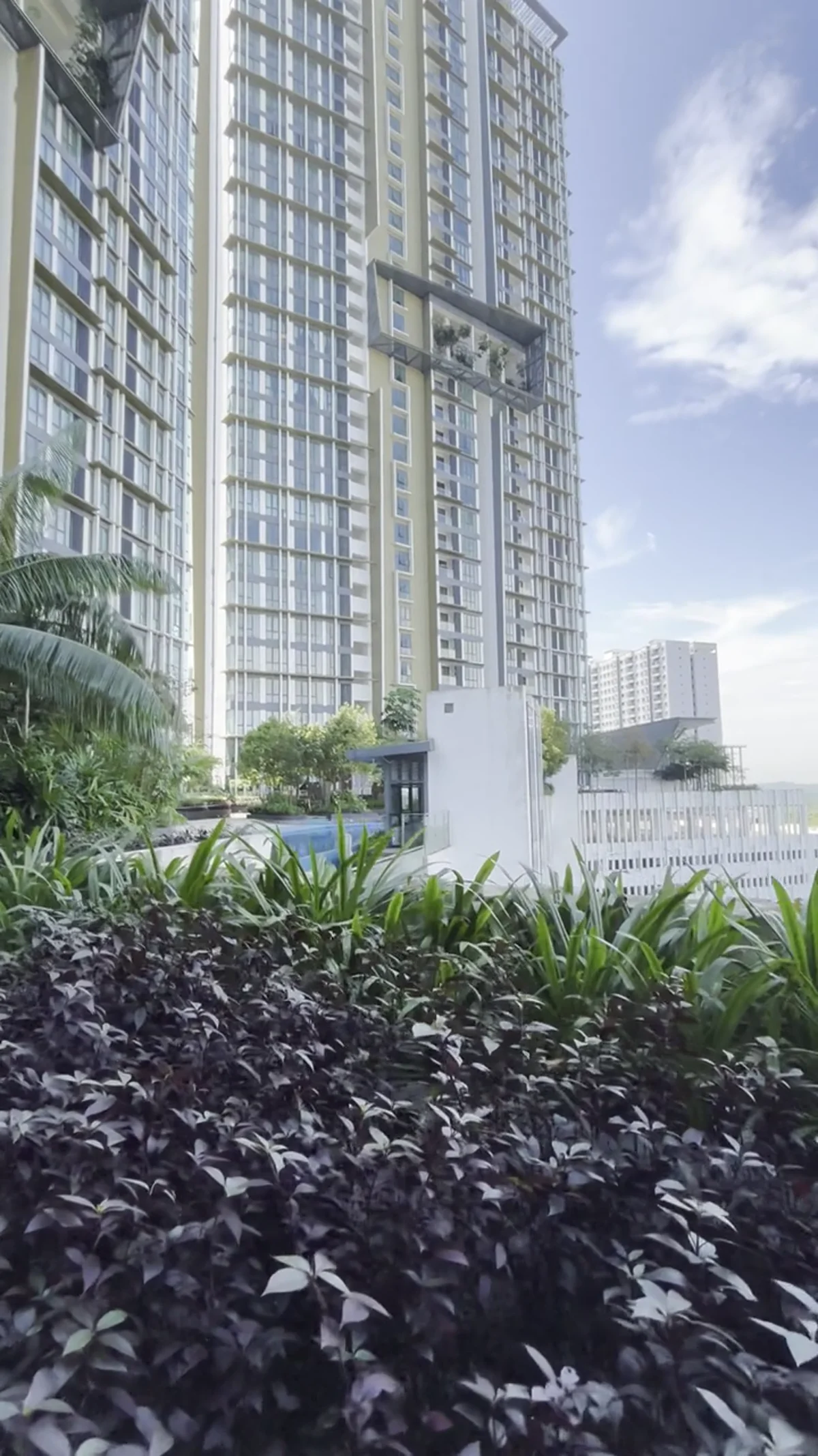 Elysia towers and pool area