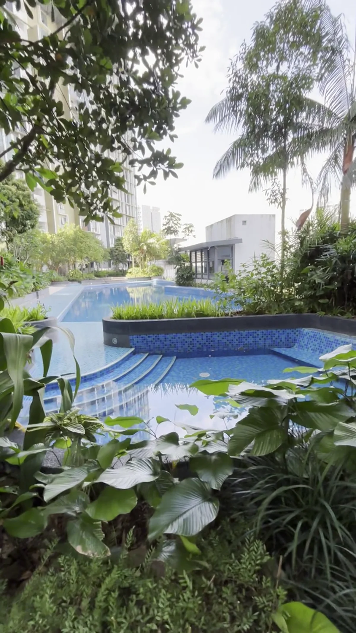 Completed Elysia pool and landscaping